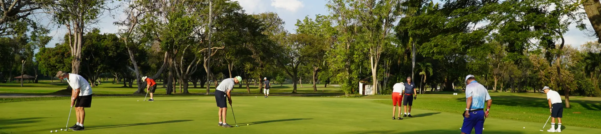 SG Putting (1)